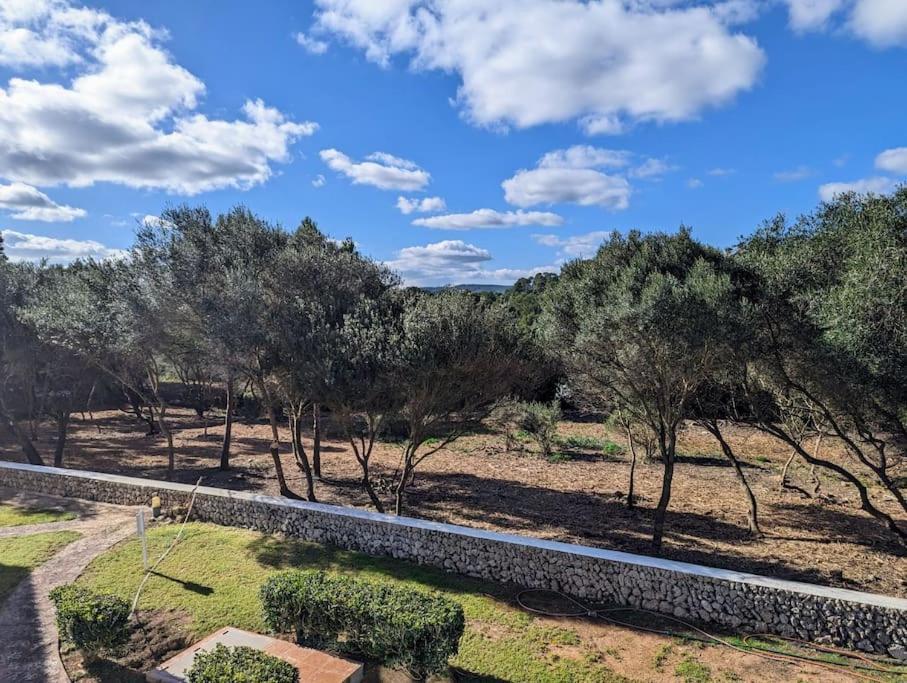 Bella Brisa, Port D'Addaia Apartment Bagian luar foto